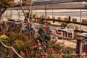 beachtown-bbq1