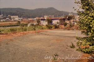 beachtown-sports