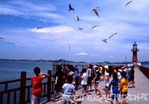 tour7-fishingpier04